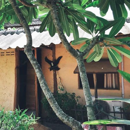 Tiddin Resort 清邁 外观 照片