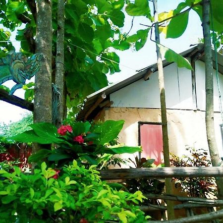 Tiddin Resort 清邁 外观 照片